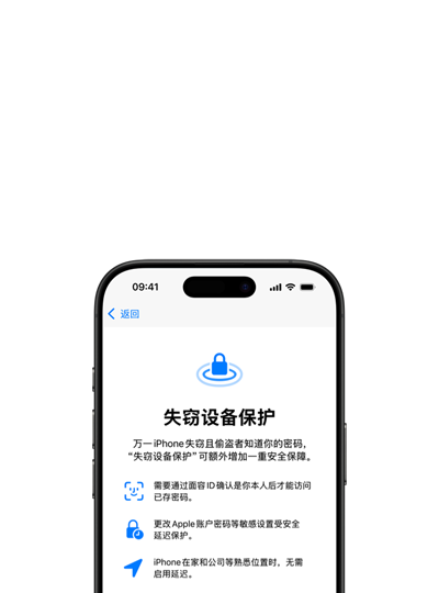 iPhone 屏幕上显示失窃设备保护的说明界面。